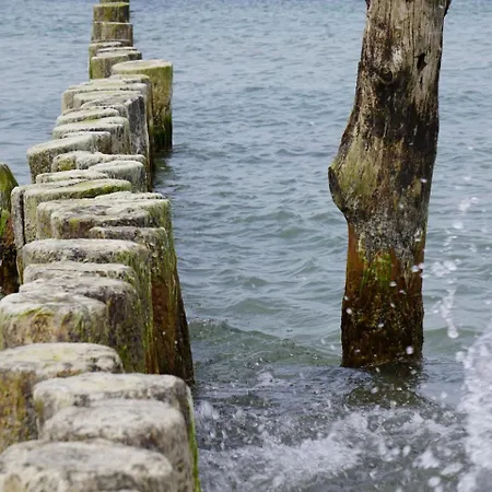 公寓 Schoene Aussicht Börgerende-Rethwisch